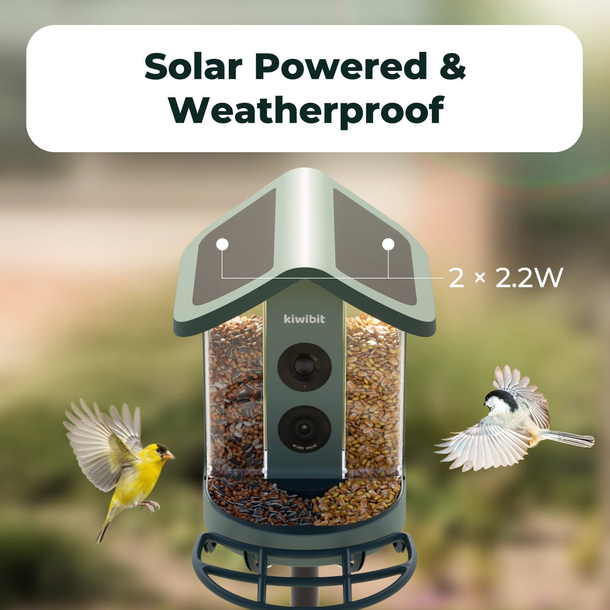 4.4W Solar Roof Kit for Smart Bird Feeder (IP65 Waterproof)