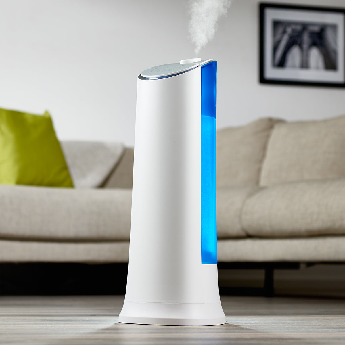 100 Hour Ultrasonic Warm and Cool Mist Humidifier