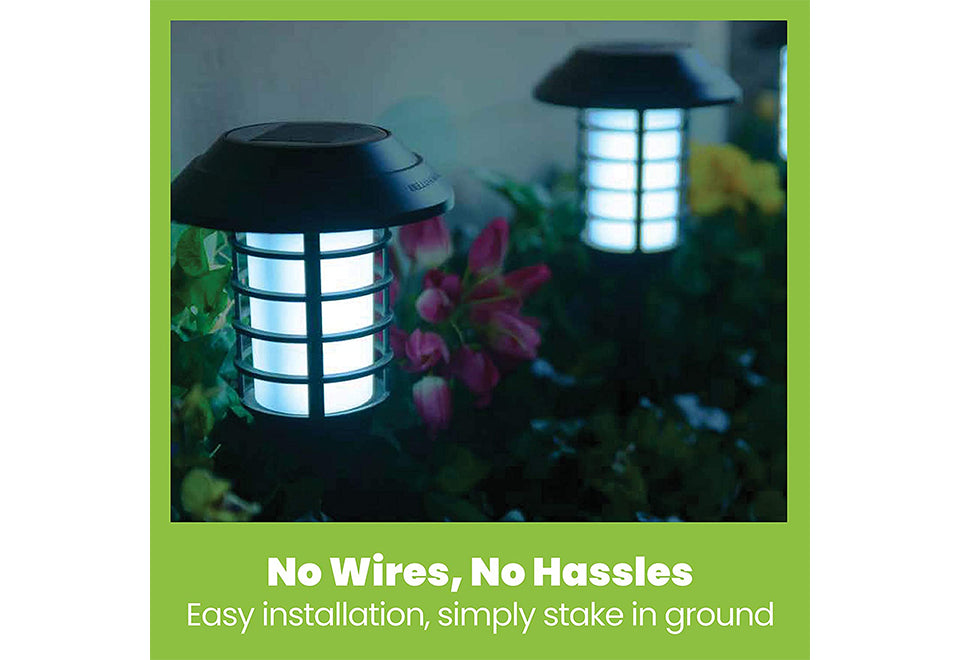 Solar Pathway Lights (Set of 4)