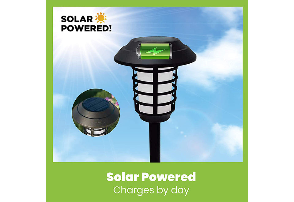 Solar Pathway Lights (Set of 4)
