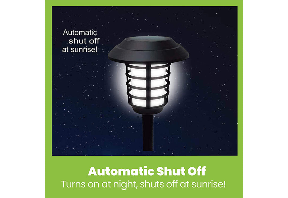 Solar Pathway Lights (Set of 4)