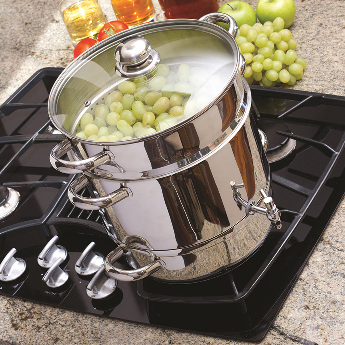 Stainless Steel Stove Top Steam Juicer