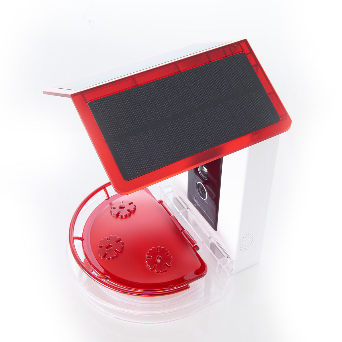Video Camera Hummingbird Feeder