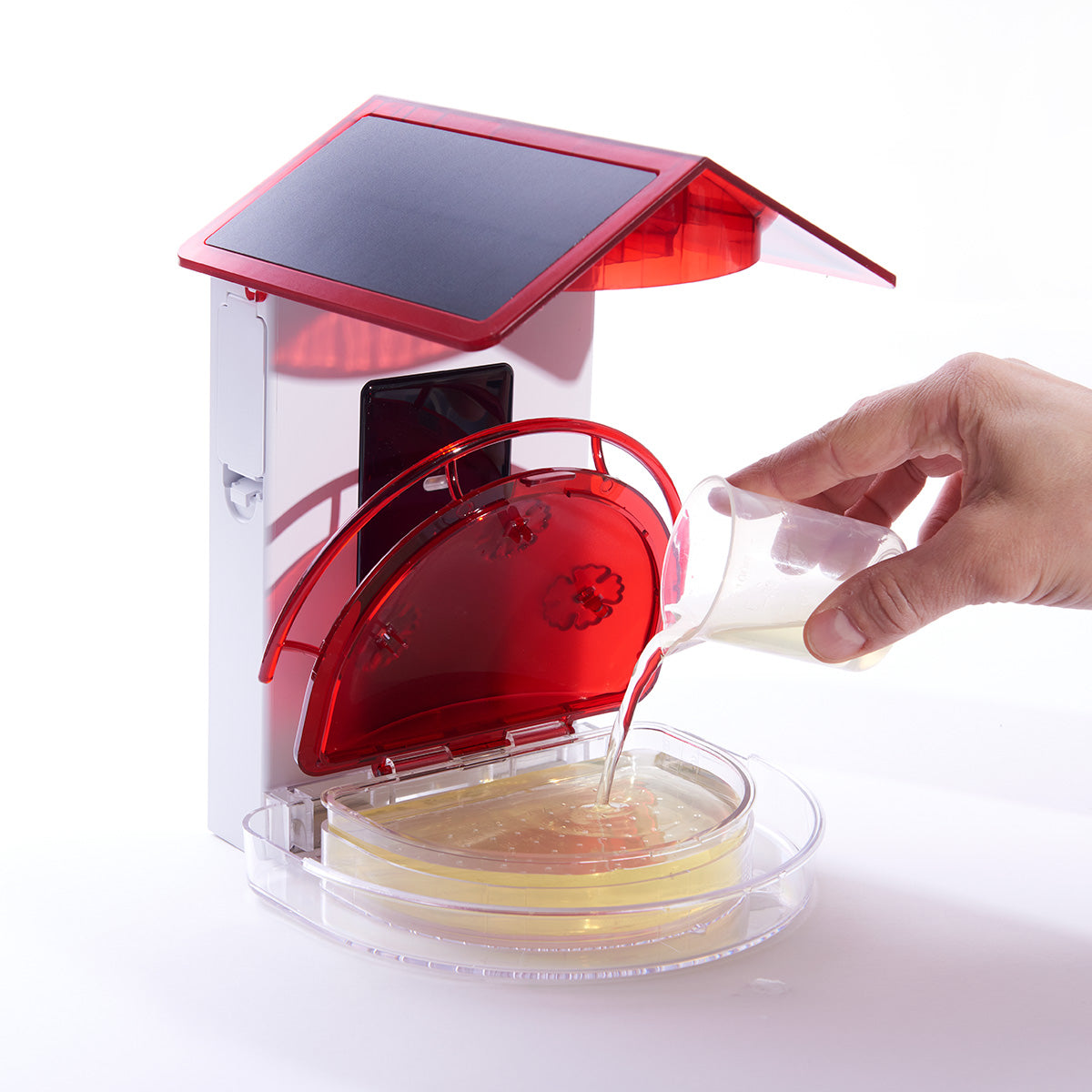 Video Camera Hummingbird Feeder