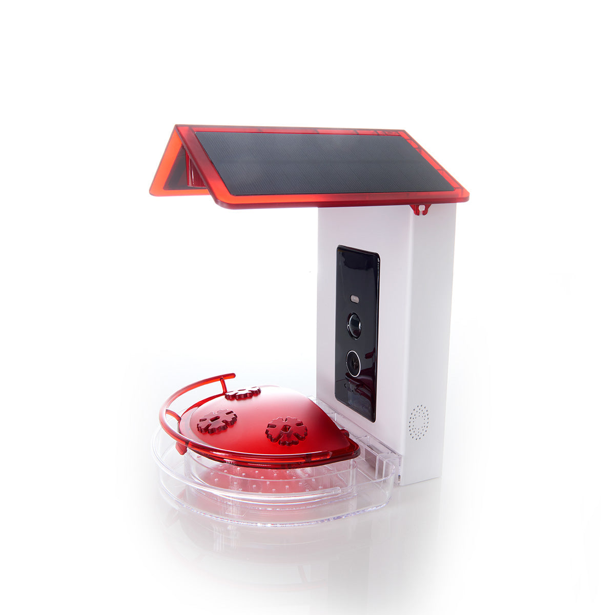 Video Camera Hummingbird Feeder