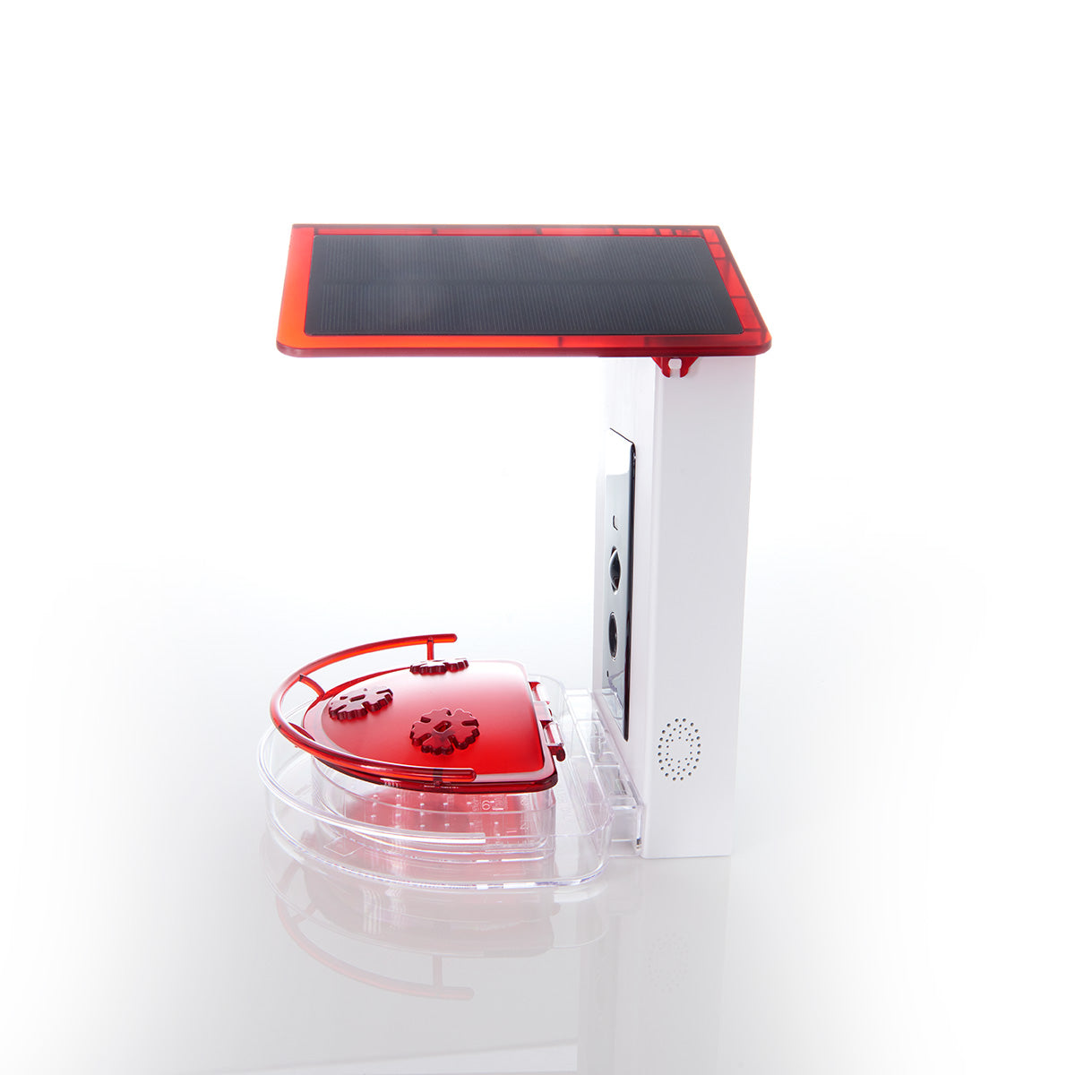 Video Camera Hummingbird Feeder