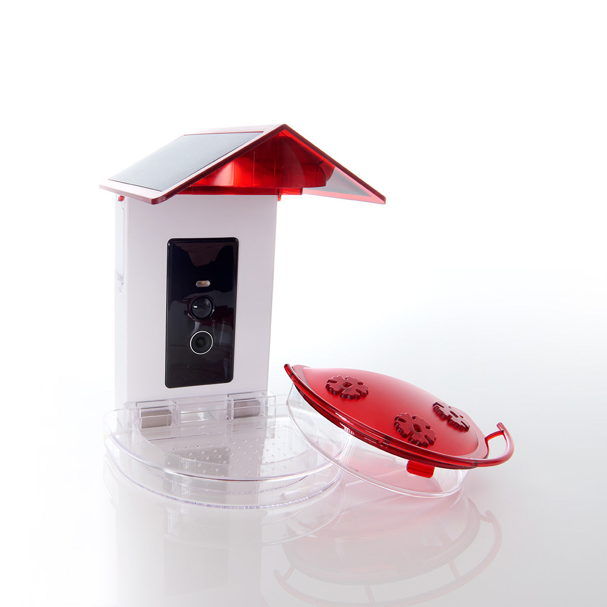 Video Camera Hummingbird Feeder