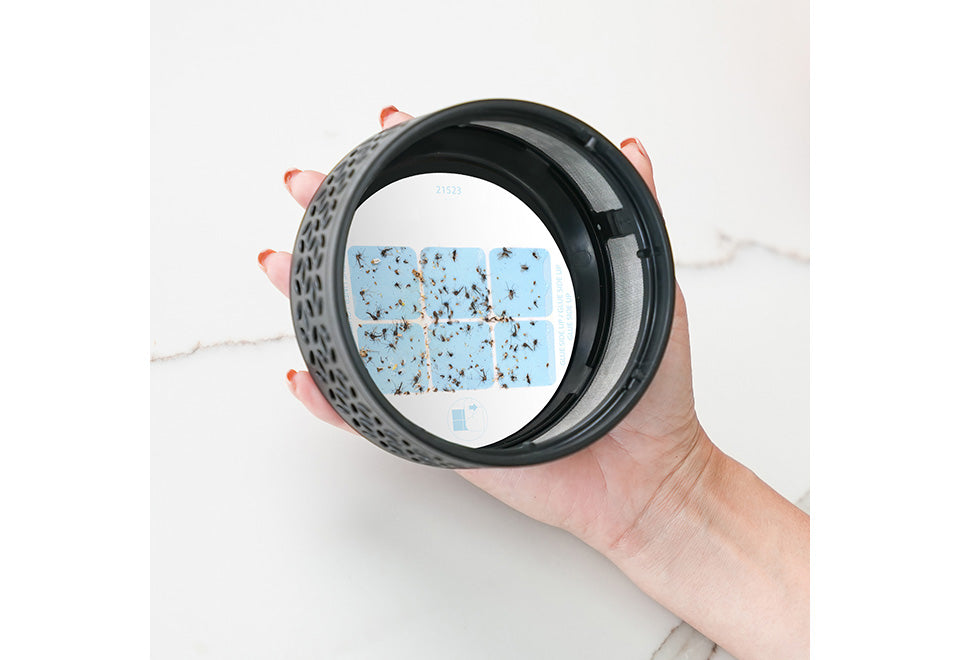Replacement Glue for LED Indoor Fruit Fly Trap