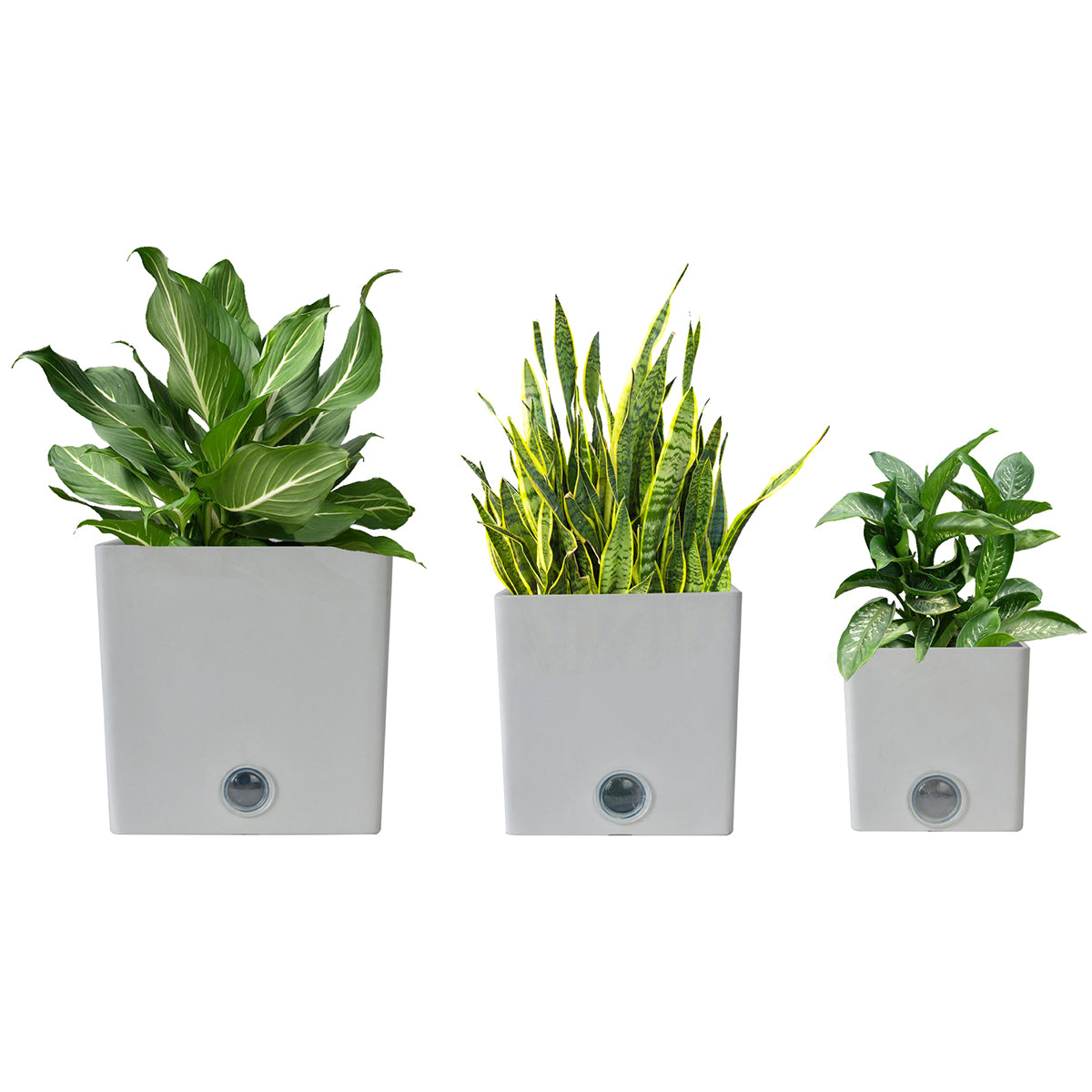 Self-Watering Square Pot System for Indoor Plants (Set of 3)