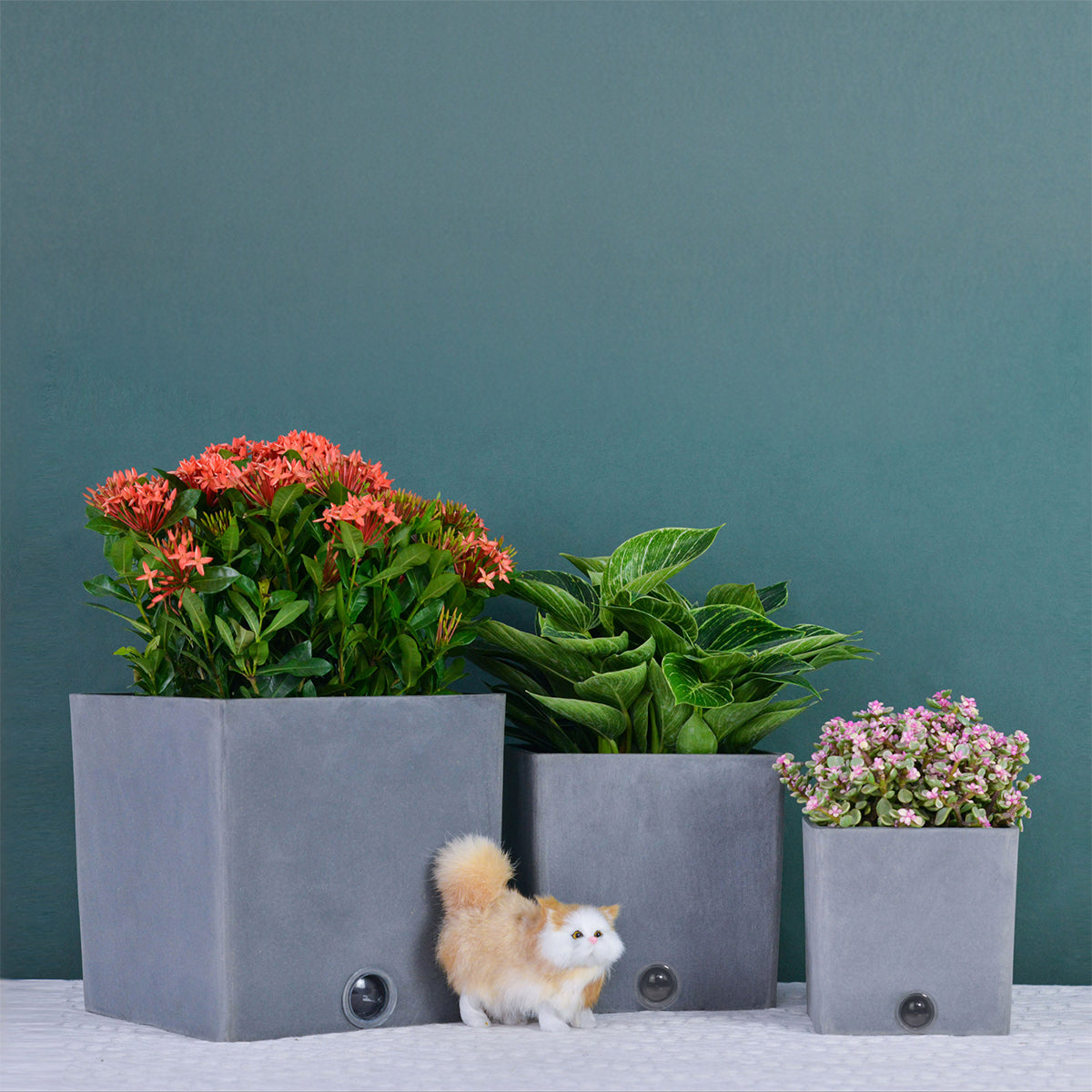 Self-Watering Square Pot System for Indoor Plants (Set of 3)