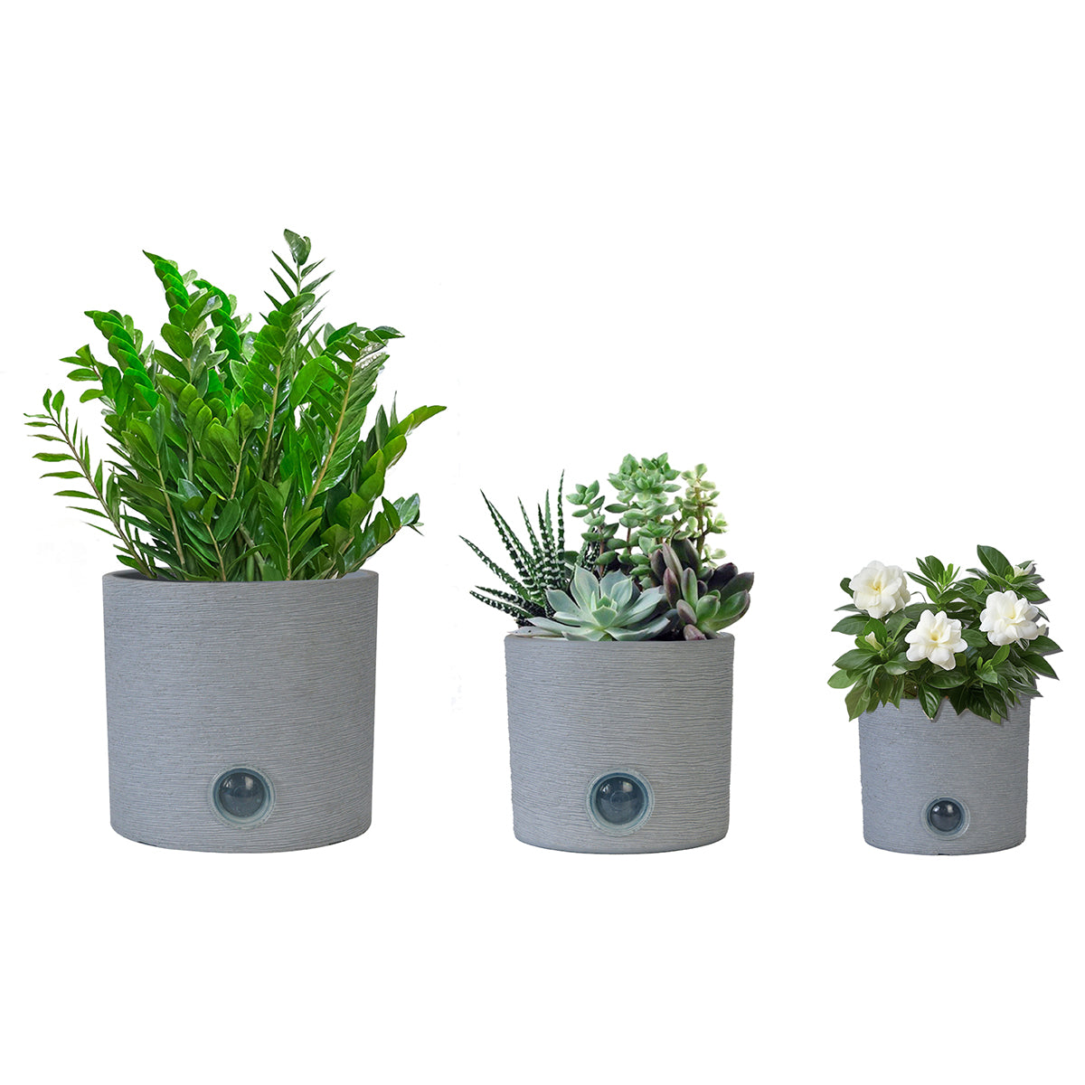 Self-Watering Cylinder Pot System for Indoor Plants (Set of 3)