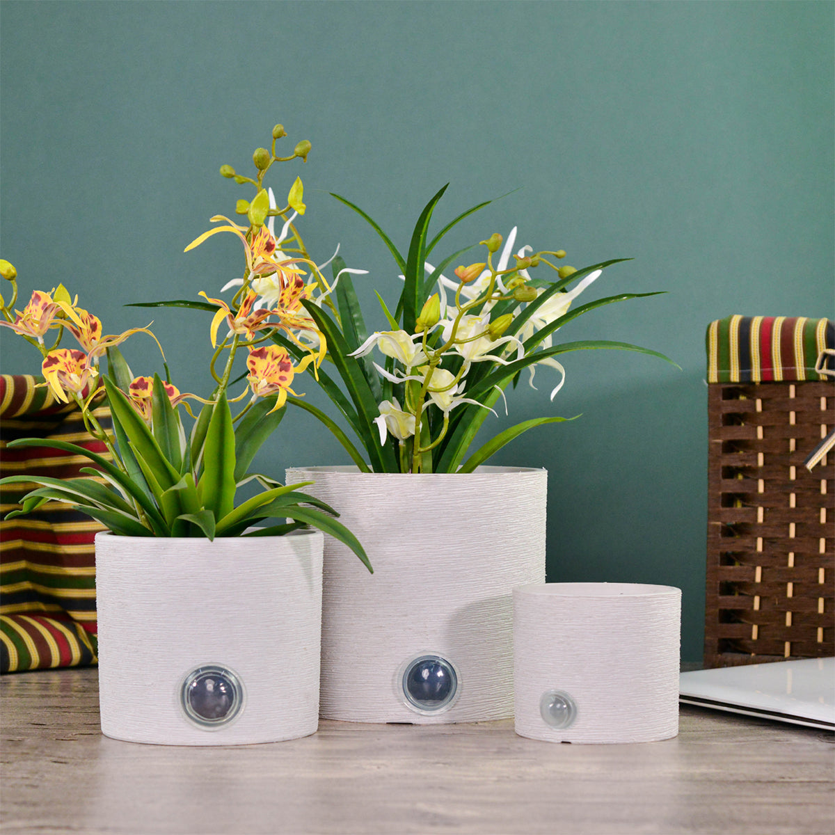 Self-Watering Cylinder Pot System for Indoor Plants (Set of 3)