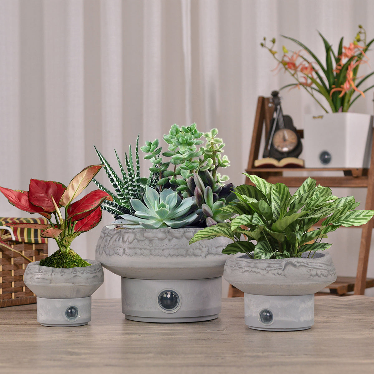 Self-Watering Rock Garden Pot System for Indoor Plants (Set of 3)