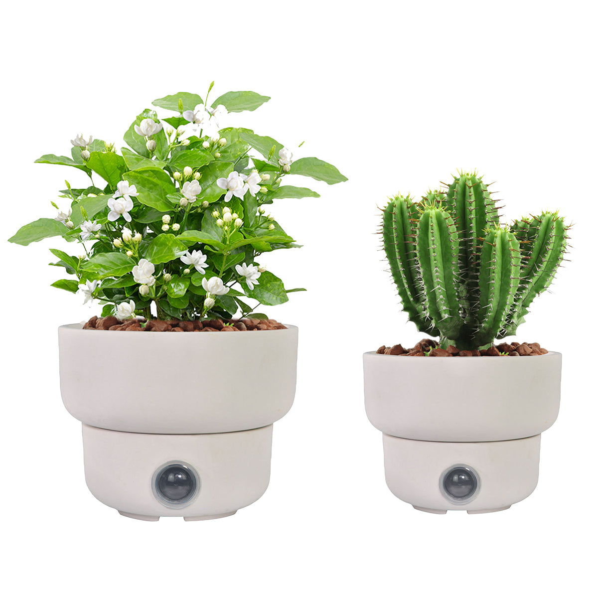 Self-Watering Low Bowl Pot System for Indoor Plants (Set of 2)