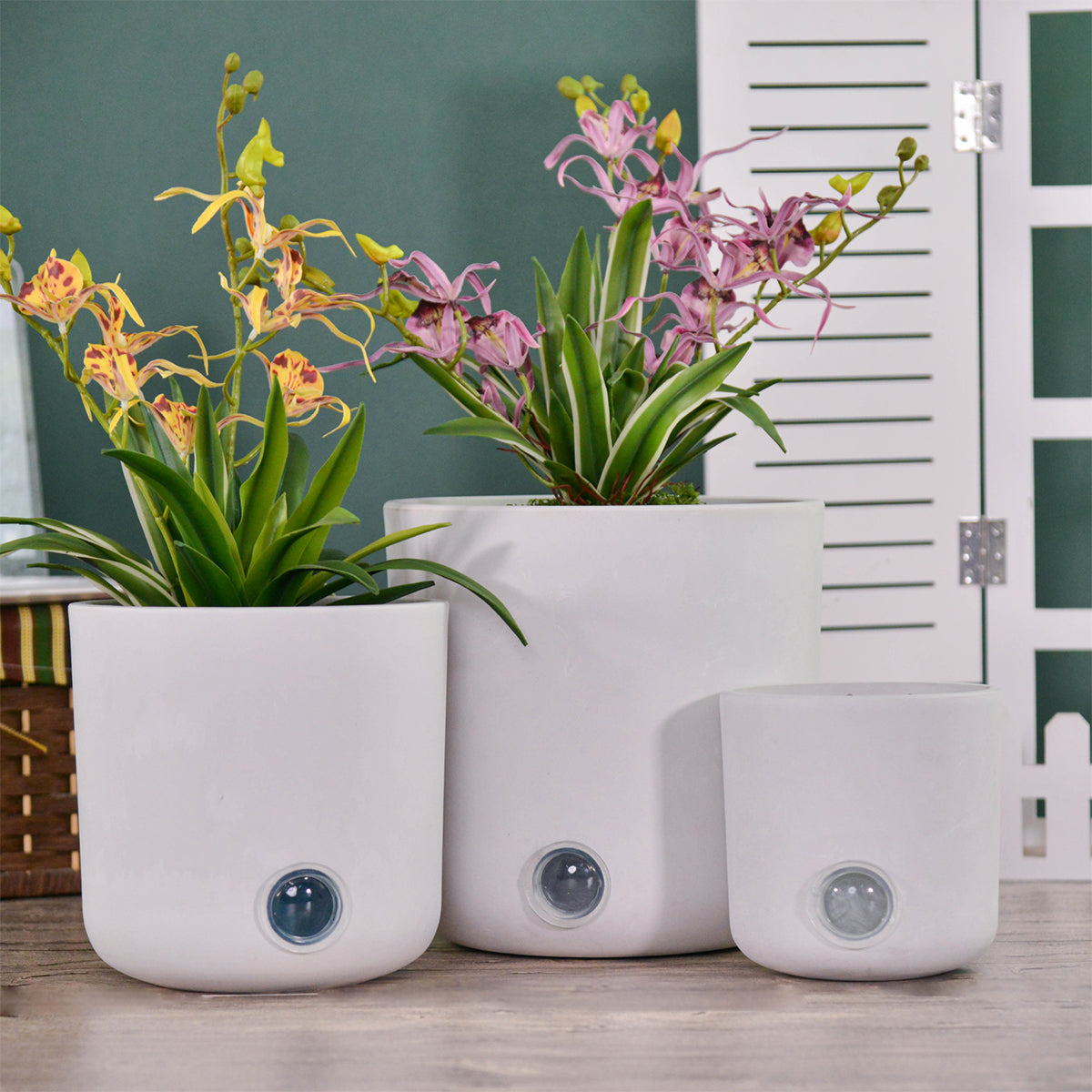 Self-Watering Tall Cylinder Pot System for Indoor Plants (Set of 3)