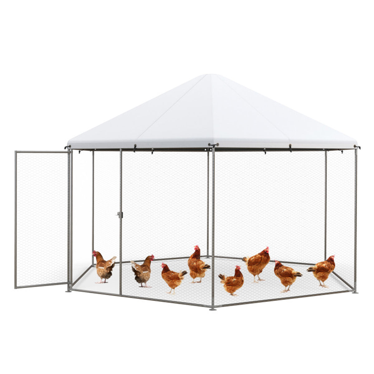 13' Wire Mesh Hexagonal Chicken Coop
