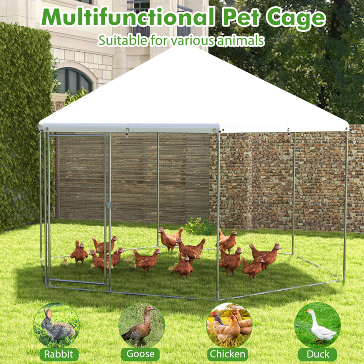 13' Wire Mesh Hexagonal Chicken Coop