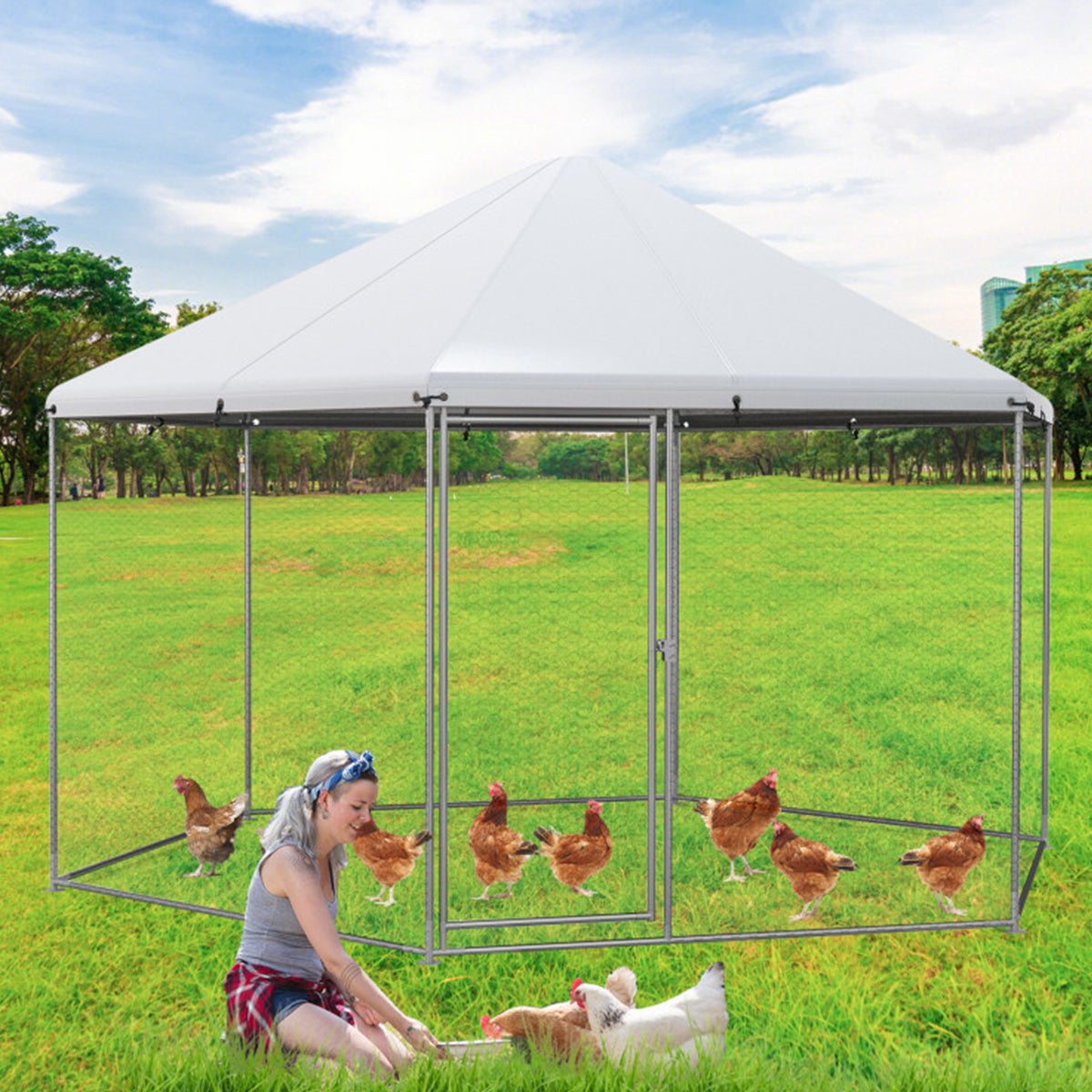 13' Wire Mesh Hexagonal Chicken Coop