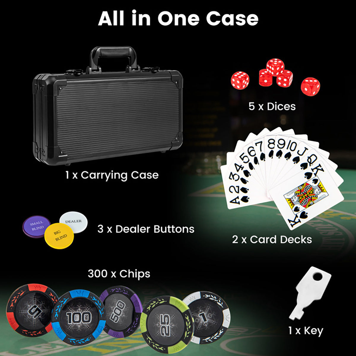 Texas Hold'em Poker Chip Set