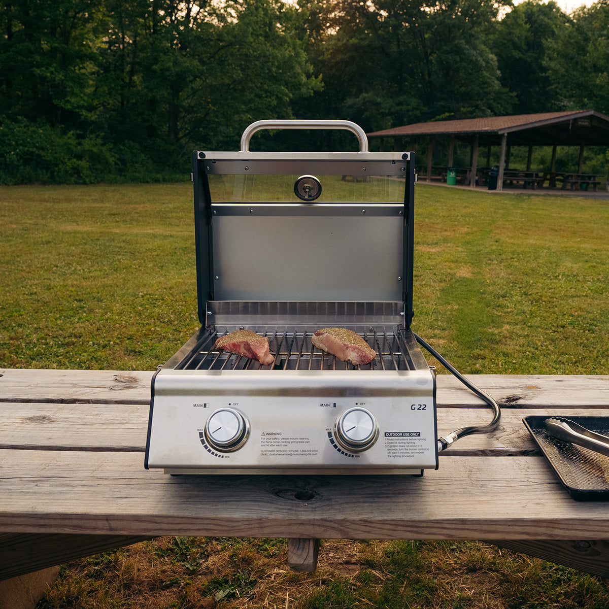 Tabletop Propane Gas Grill