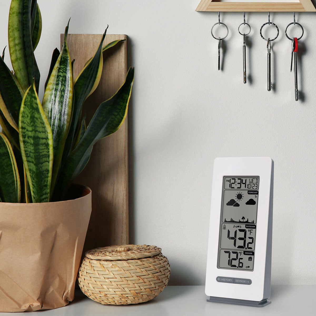 Wireless Forecast Station
