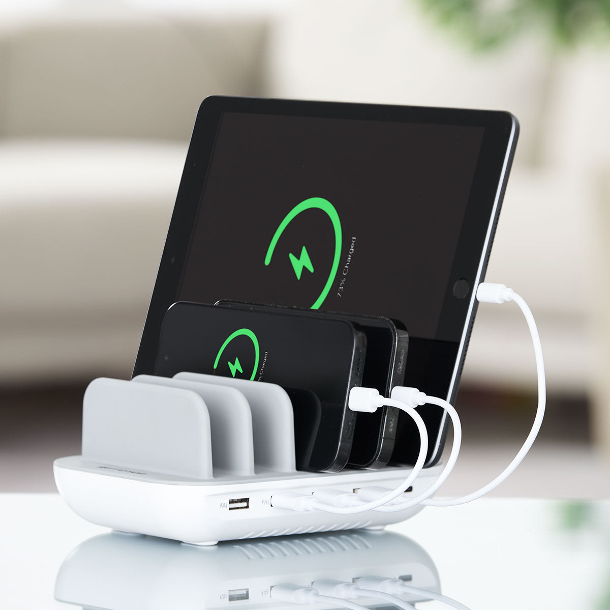 5 Device Charging Station with Cables