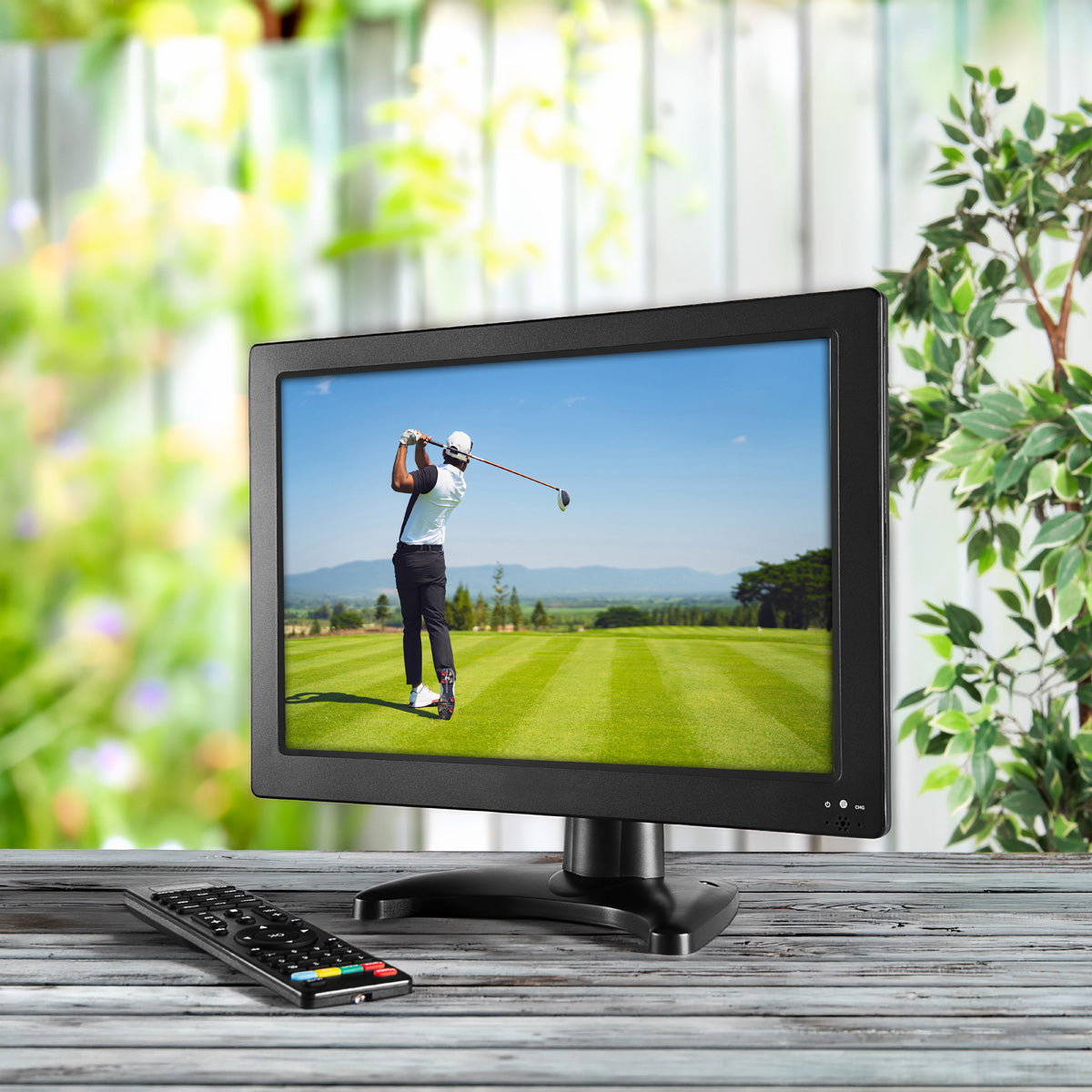 13.3'' Portable Digital TV