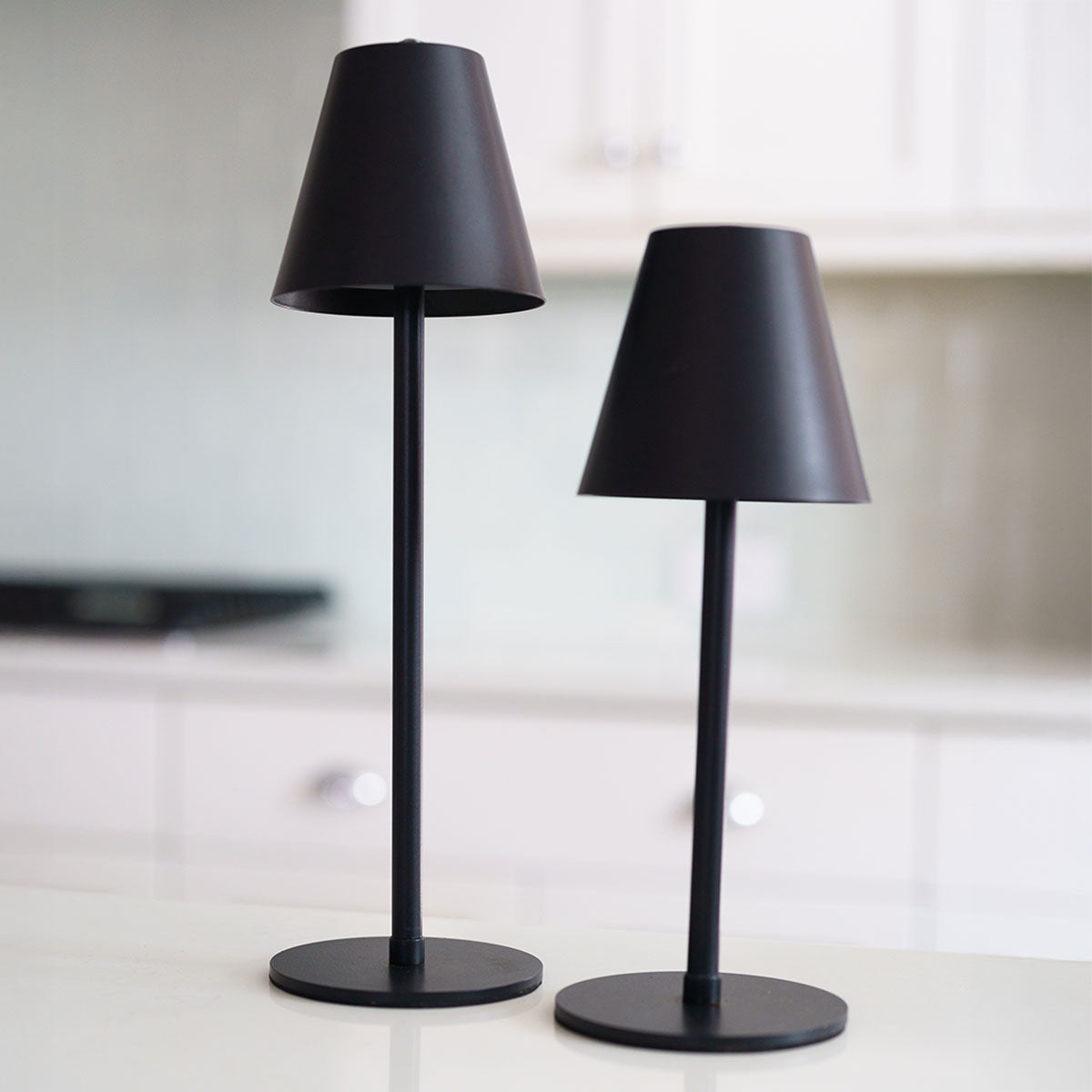 4-in-1 Indoor/Outdoor Bug Deterrent Lamp