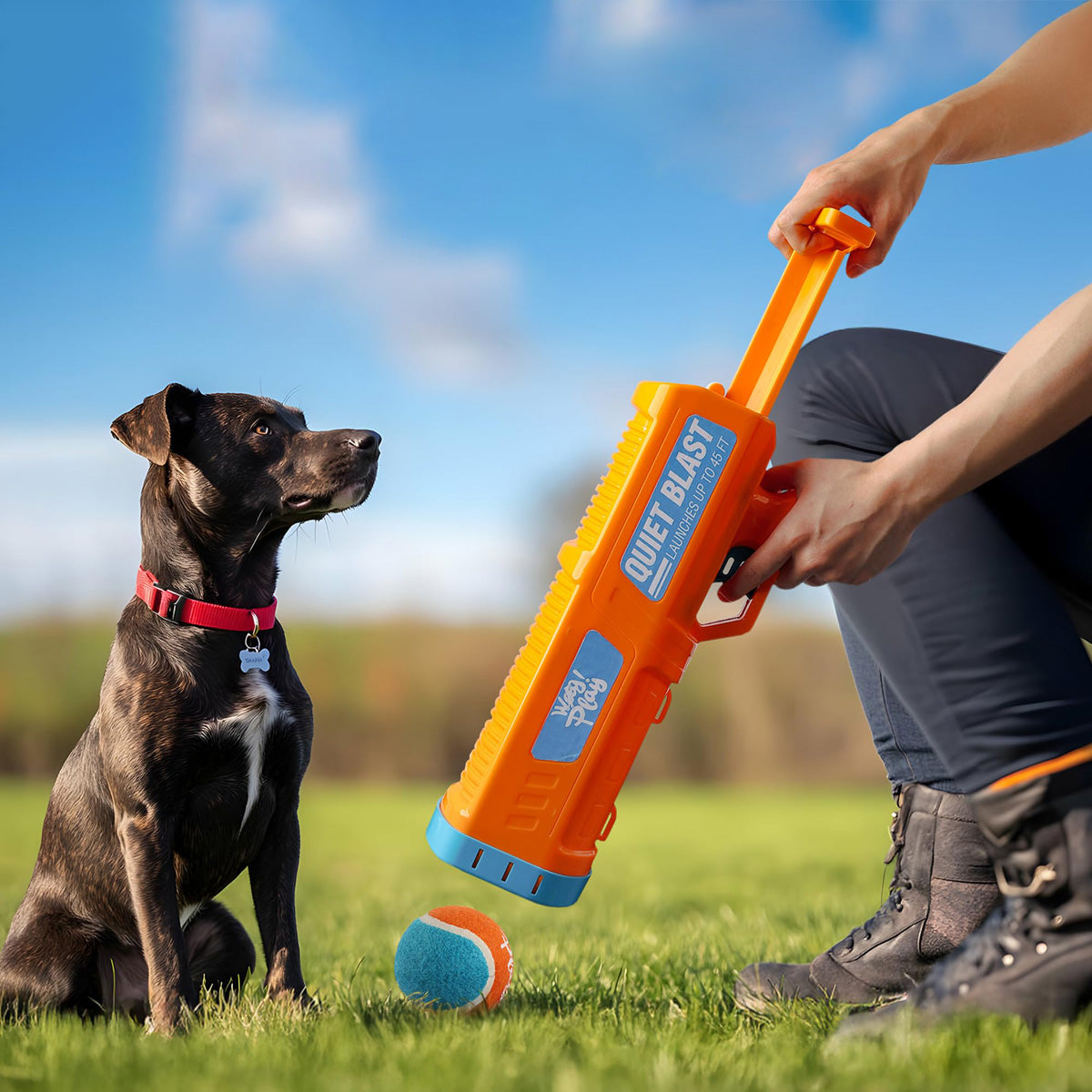 Tennis Ball Launcher for Dogs