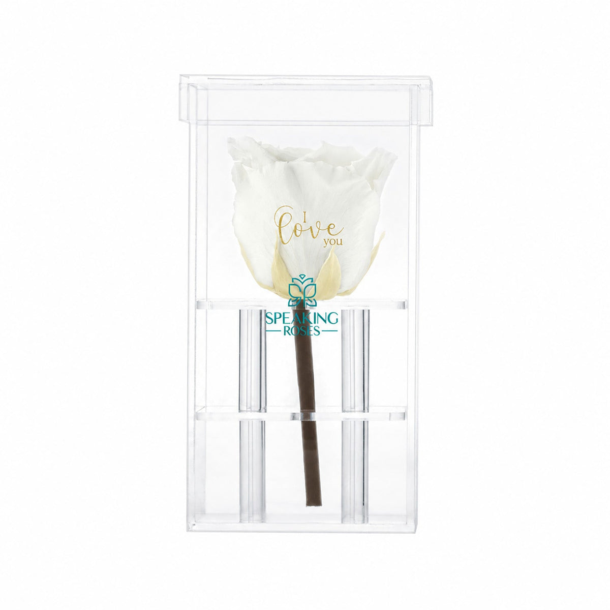 Single Stem Preserved Rose