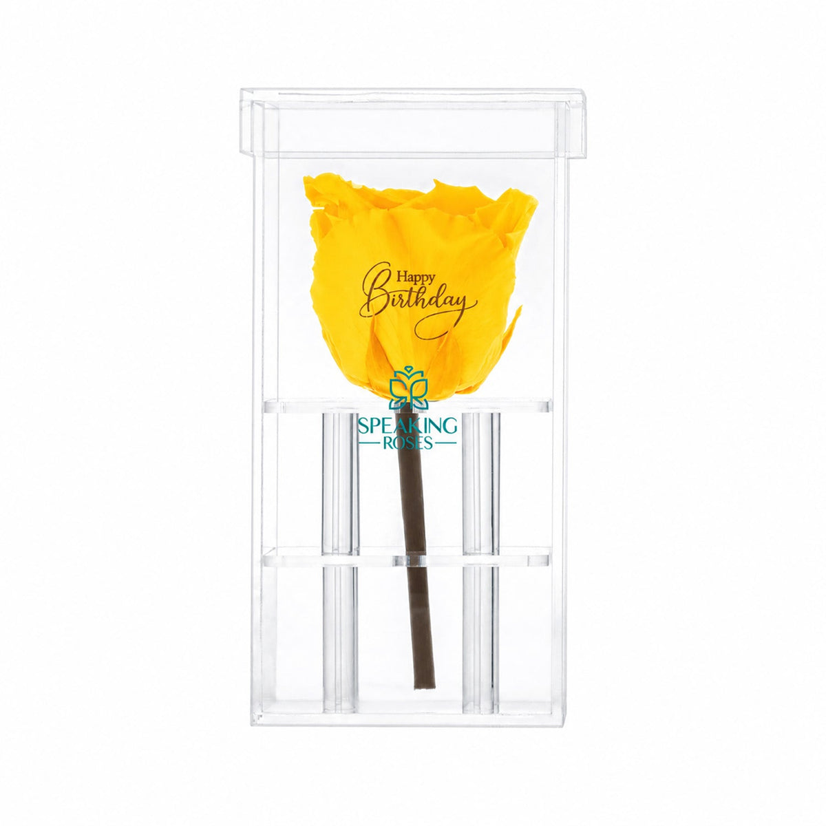 Single Stem Preserved Rose