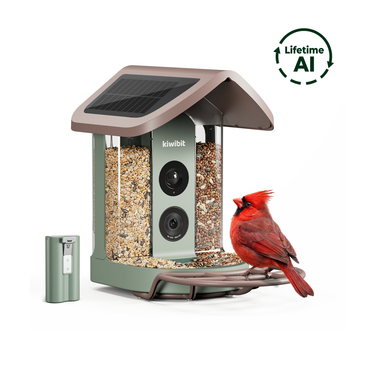 Bird Feeder 2 (Lifetime AI Included) with Replacement Battery Pack