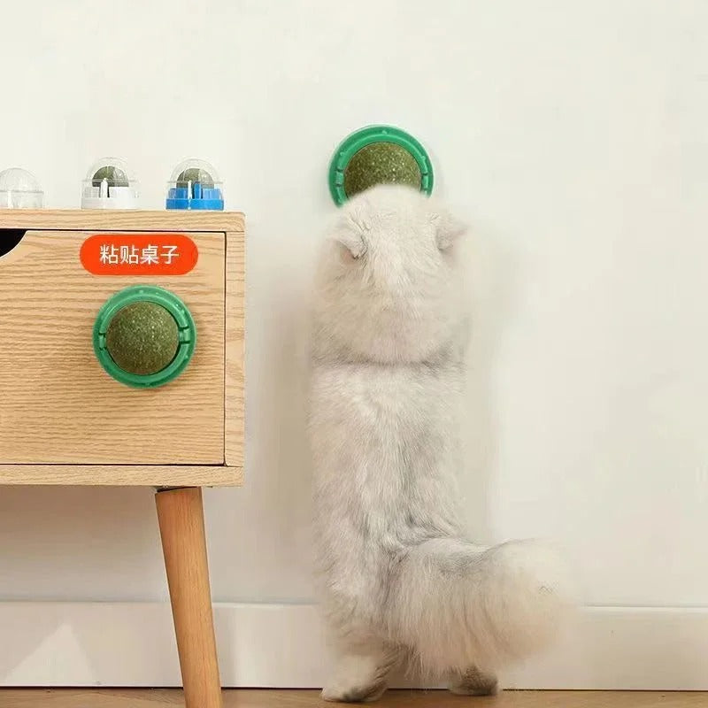 4 Pcs Catnip Ball
