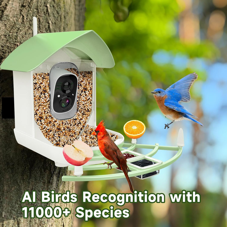 Smart Bird Feeder Camera with AI Recognition and Solar Power