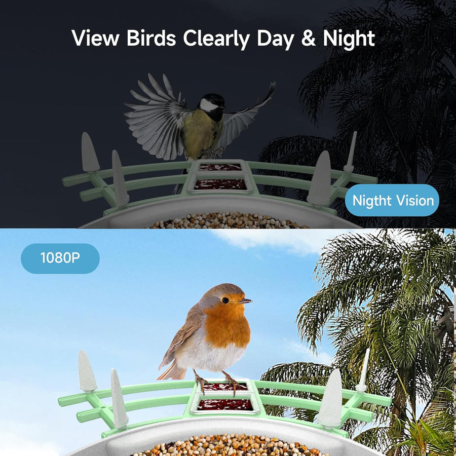 Smart Bird Feeder Camera with AI Recognition and Solar Power
