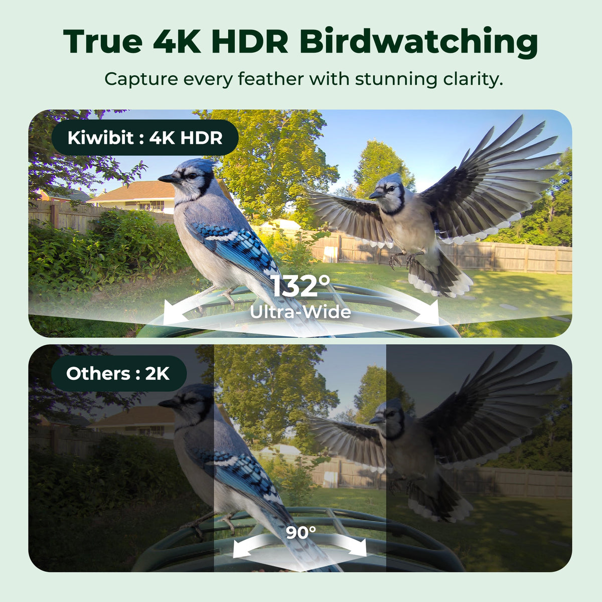 Bird Feeder 4K AI Camera Solar Panel Kit (Lifetime AI Included)