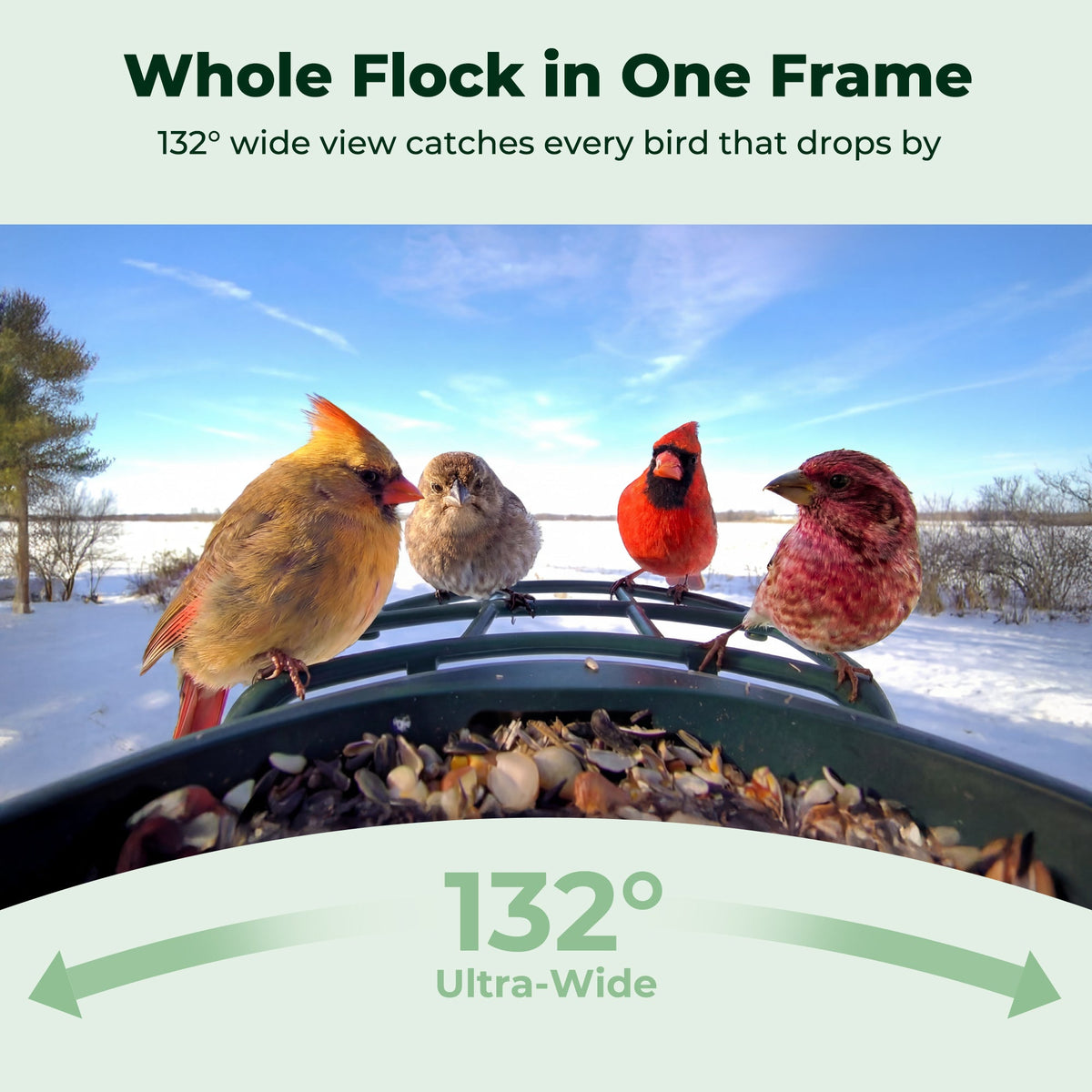 Bird Feeder 2 4K AI Camera with Solar Panel (Lifetime AI Included)
