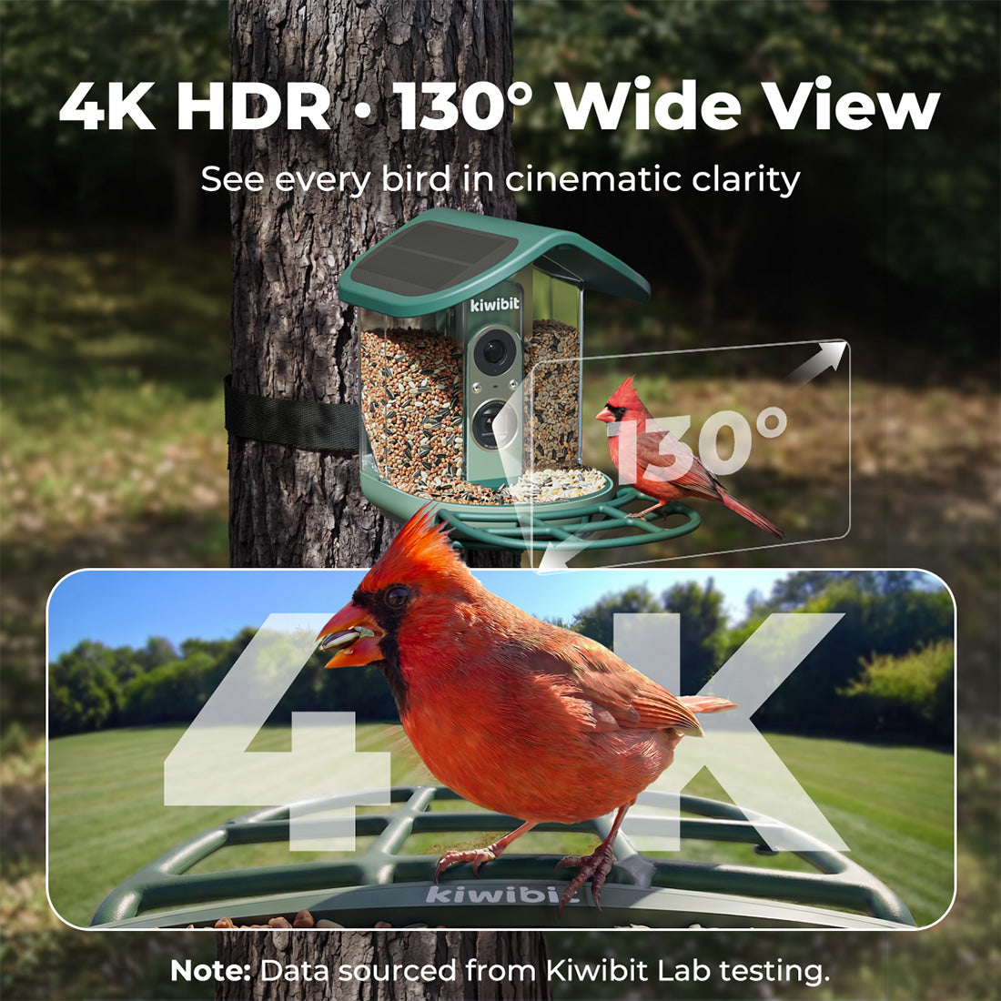 Bird Feeder 2 Pro 4K AI Camera with Solar Panel (Lifetime AI Included)