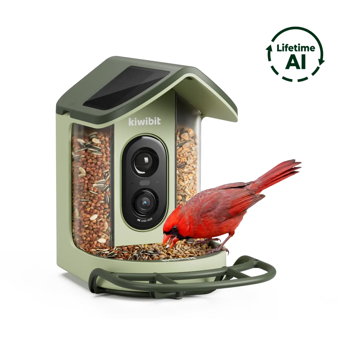 Bird Feeder 2 Mini 4K AI Camera with Solar Panel (Lifetime AI Included)