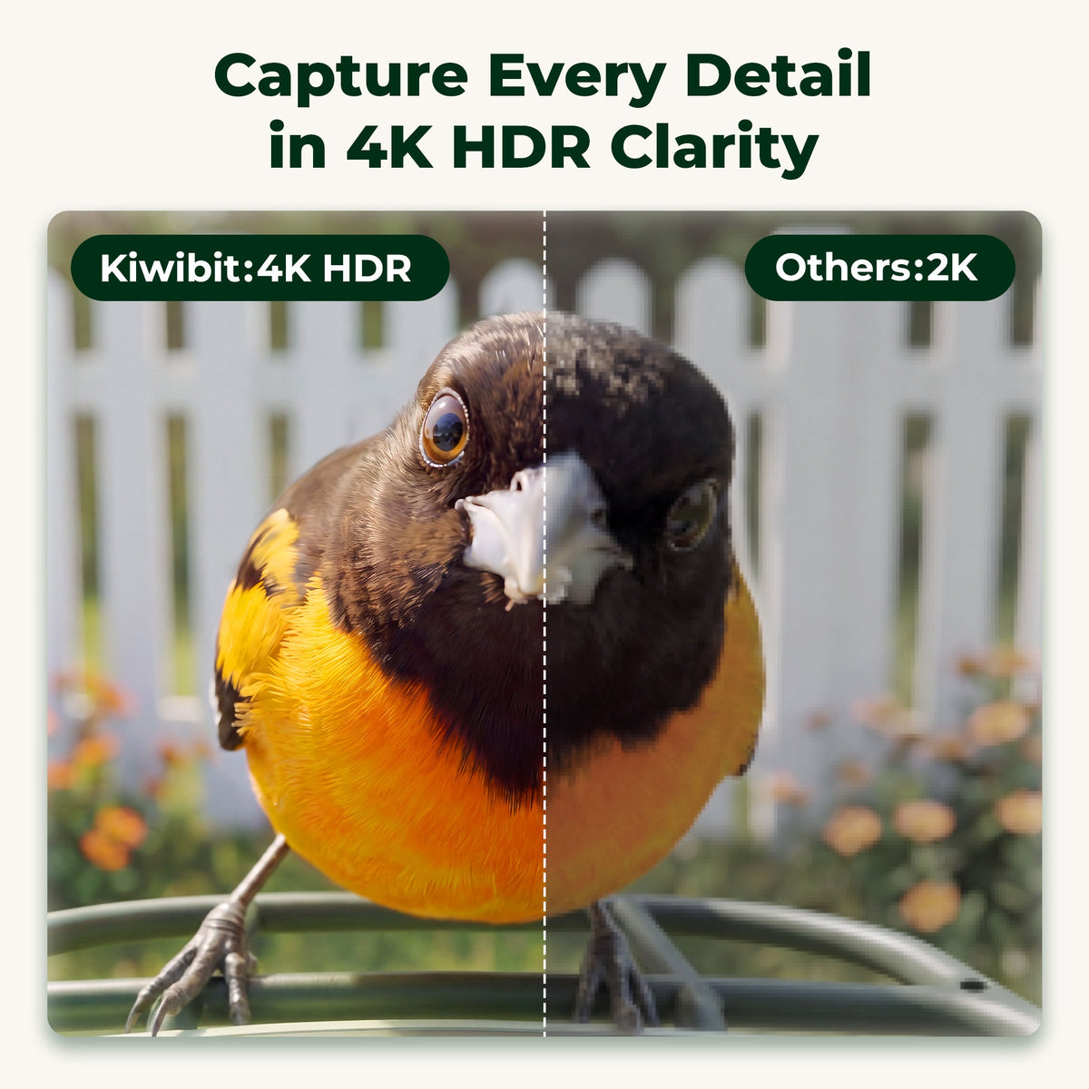 Bird Feeder 2 Mini 4K AI Camera with Solar Panel (Lifetime AI Included)