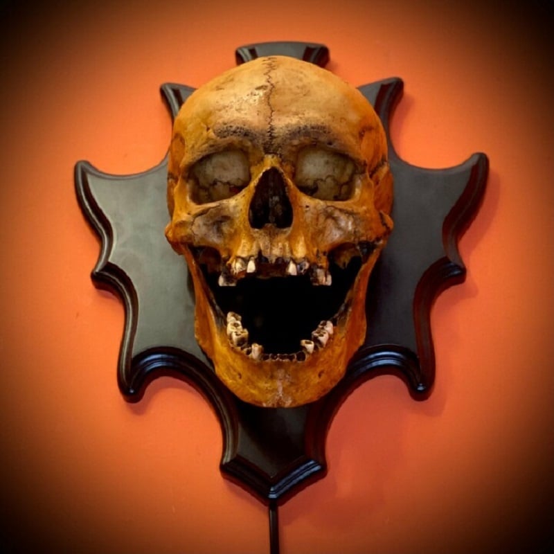 Resin Skull Nightlight with LED Glow and Sound Module