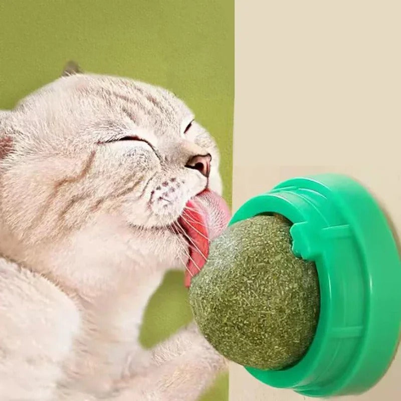 4 Pcs Catnip Ball