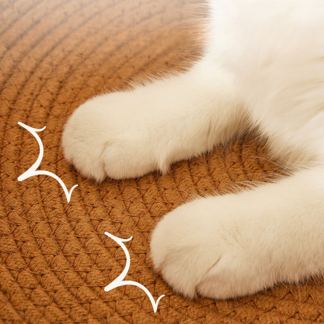 Rattan Cat Bed with Natural Scratching Surface and Circular Nesting Design
