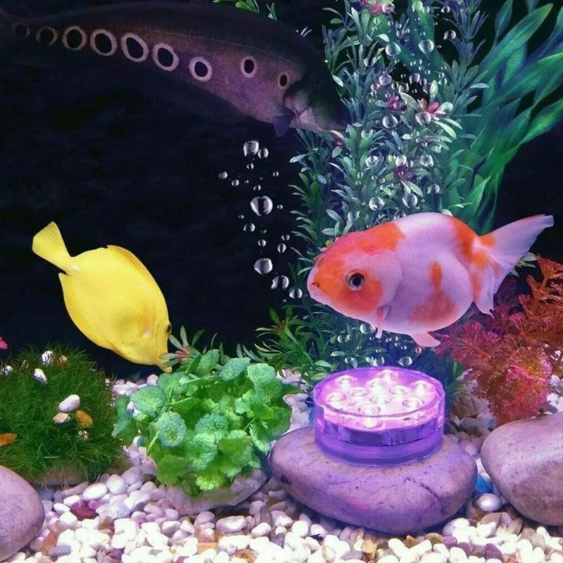 Submersible LED Lights