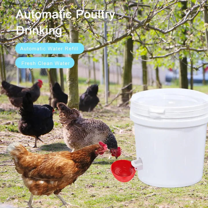 10 Pcs Chicken Waterer, High Quality Farm Supply Kit