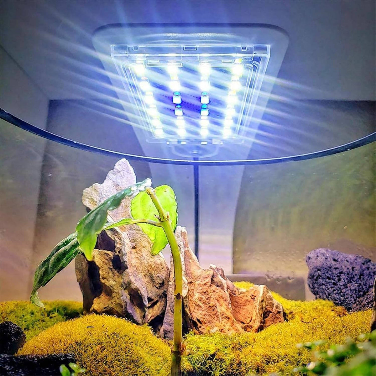 Slim Led Fish Tank Aquarium Light Aquatic Plant