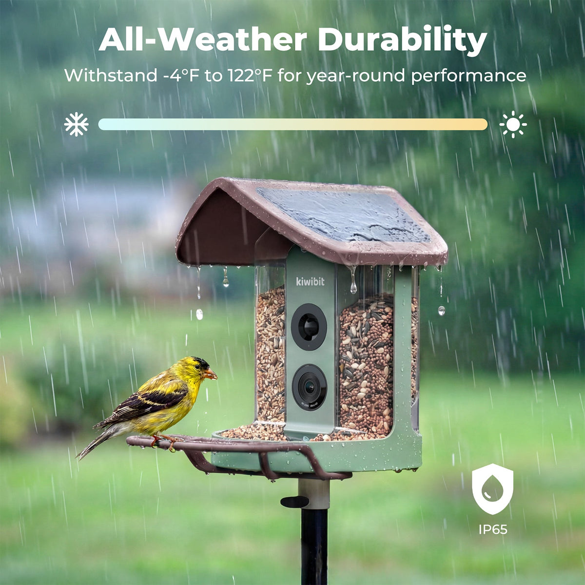 Bird Feeder 2 4K AI Camera with Solar Panel (Lifetime AI Included)