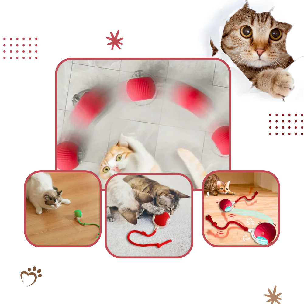 Smart Interactive Cats Ball Toy