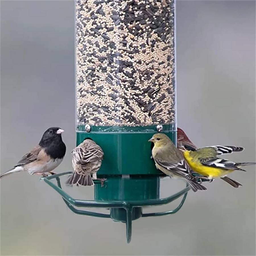 Squirrel Proof Bird Feeder Hanging Mount