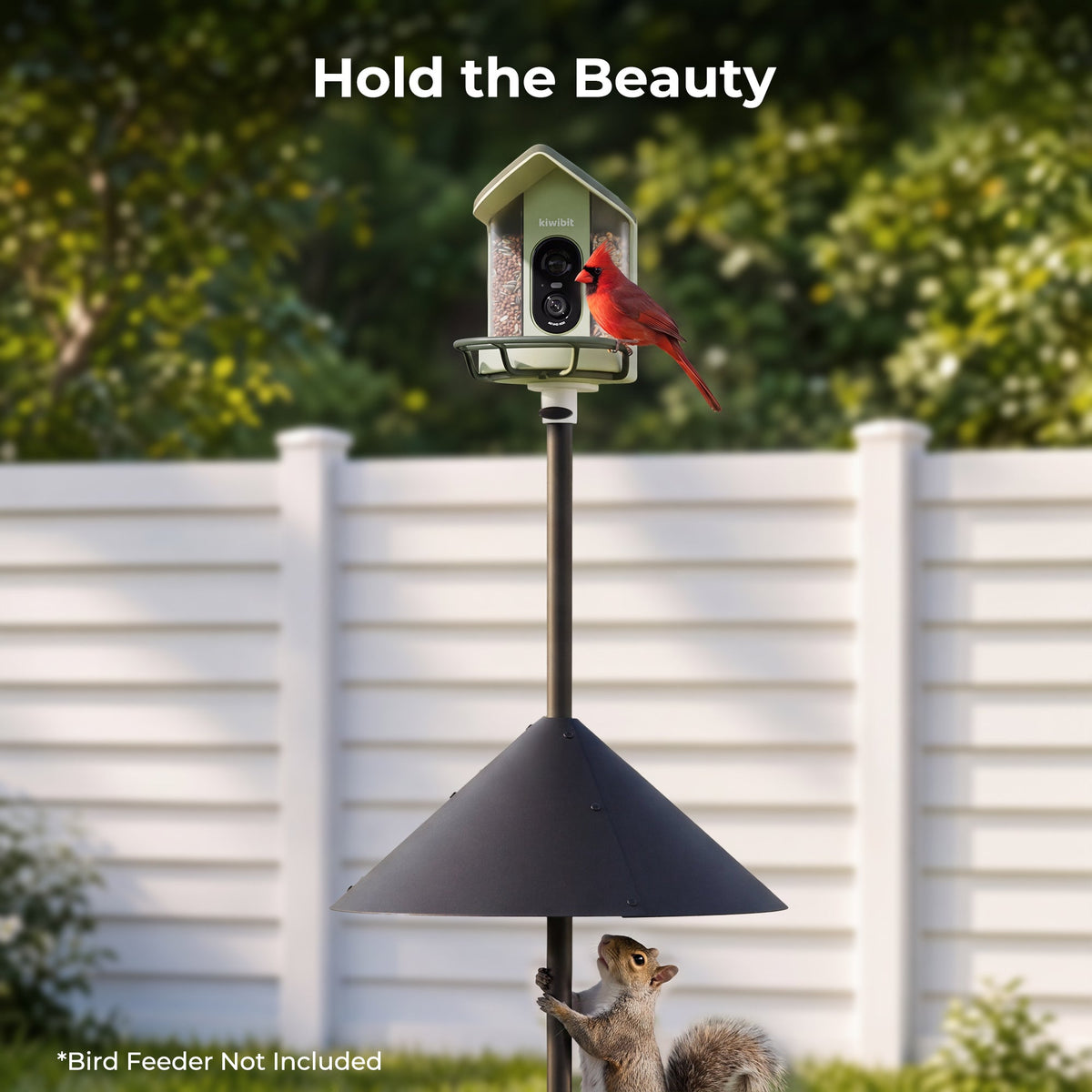 75 Smart Bird Feeder Squirrel-Proof Pole Kit